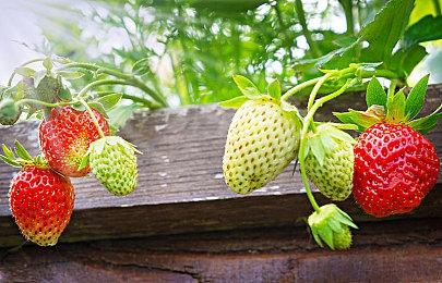 EA认为微软收购动视暴雪是好事 对行业发展有益